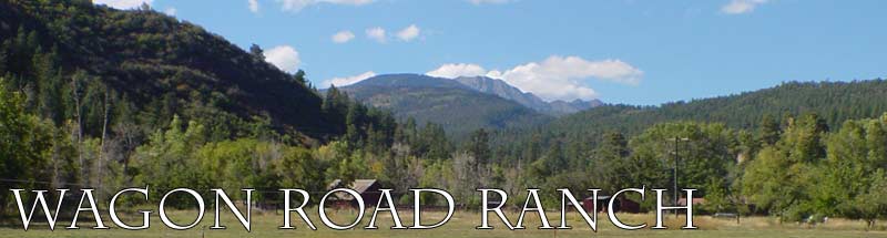 Durango Colorado Luxury Rental Property - Wagon Road Ranch